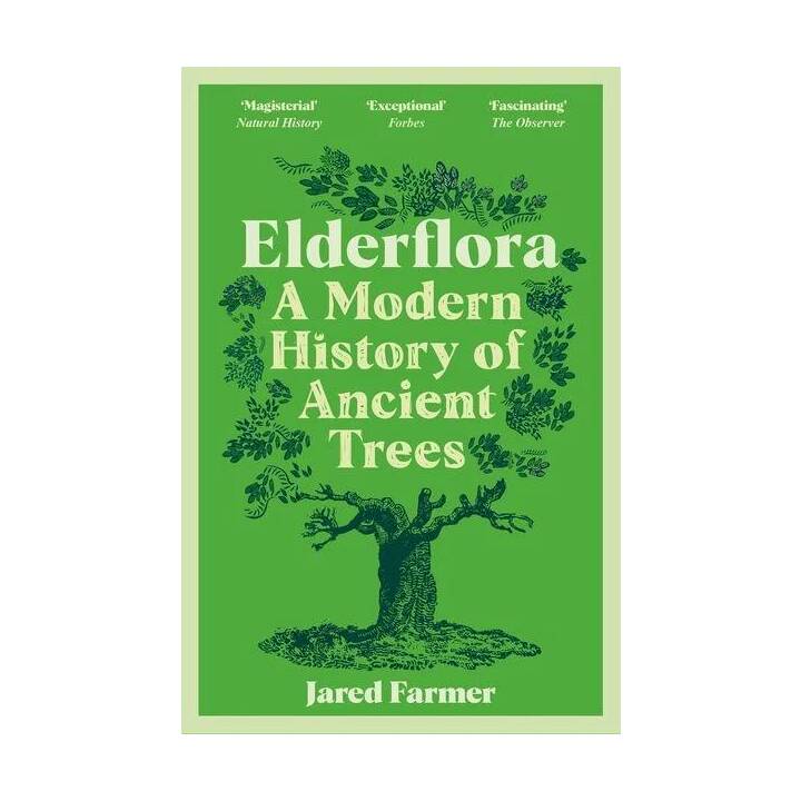 Elderflora