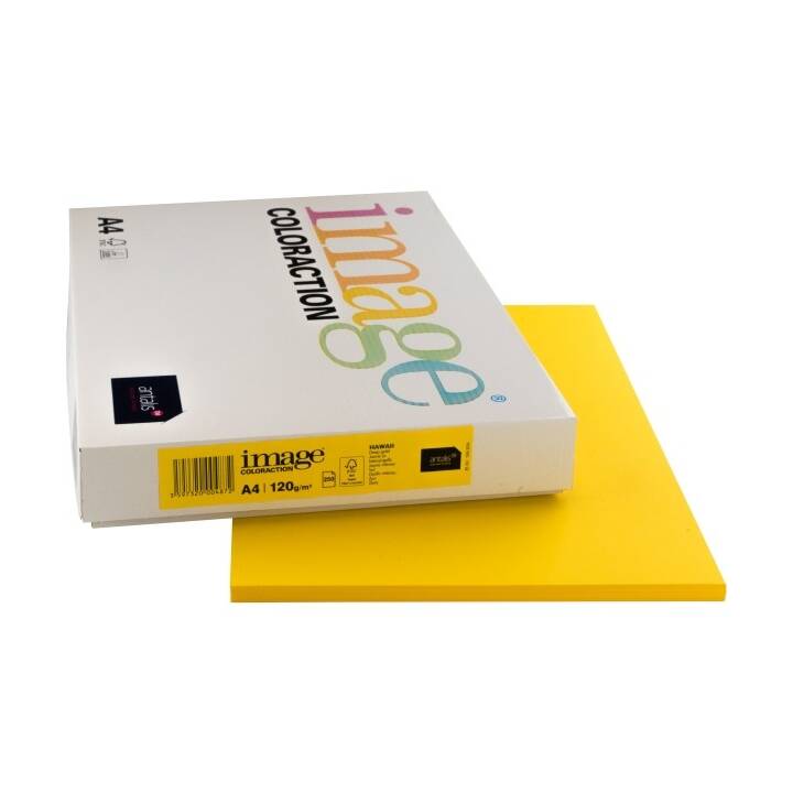 IMAGE Coloraction Carta colorata (250 foglio, A4, 120 g/m2)