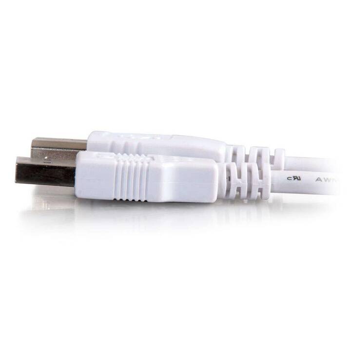 CABLES2GO USB-Kabel (USB 2.0 Typ-A, USB 2.0 Typ-B, 3 m)