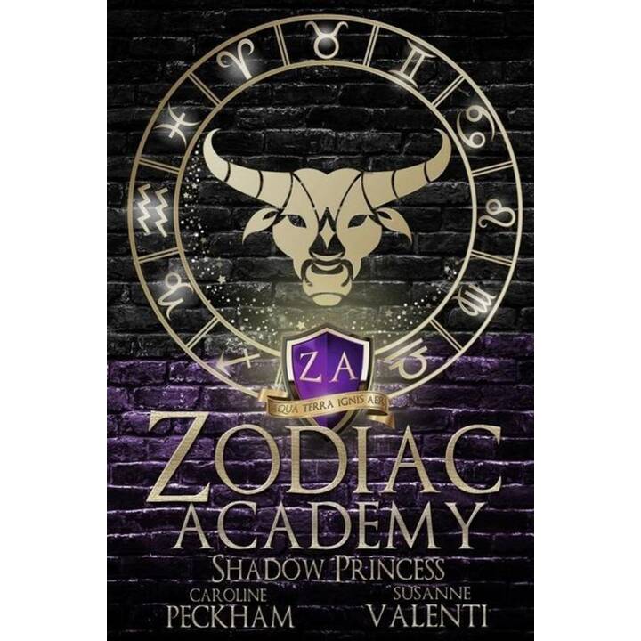 Zodiac Academy 4