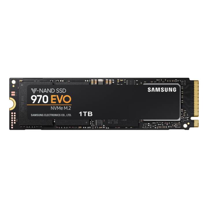 SAMSUNG 970 EVO, 1 TB