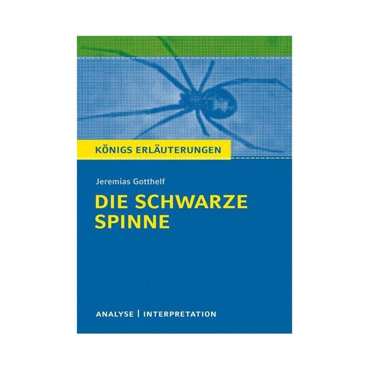 Die schwarze Spinne