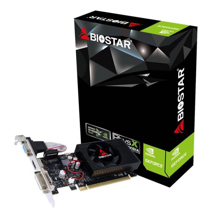 BIOSTAR VN7313TH41 Nvidia GeForce GT 730 (4 Go)