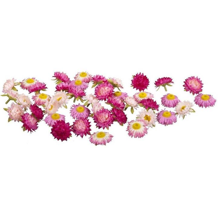 DEKOMAT Streudeko (Kunststoff, Blumen, 36 Stück)
