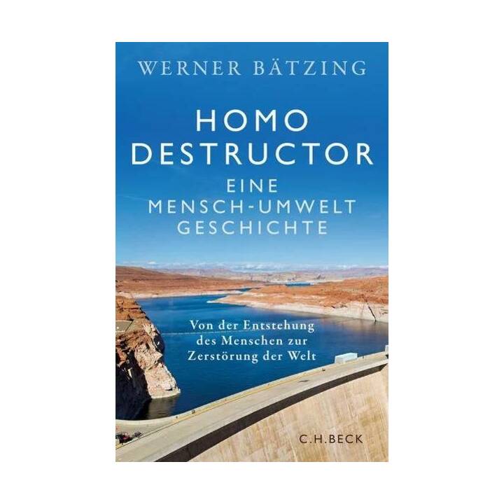 Homo destructor