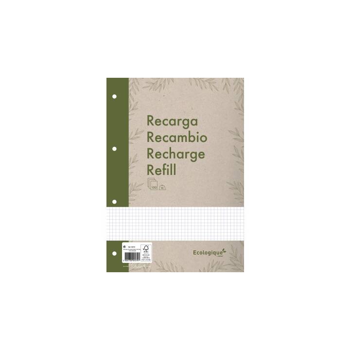 ANCOR Einlageblatt Ecologique (A4, Kariert, 1 Stück)