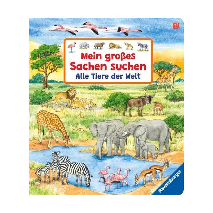 Mein grosses Sachen suchen: Alle Tiere der Welt