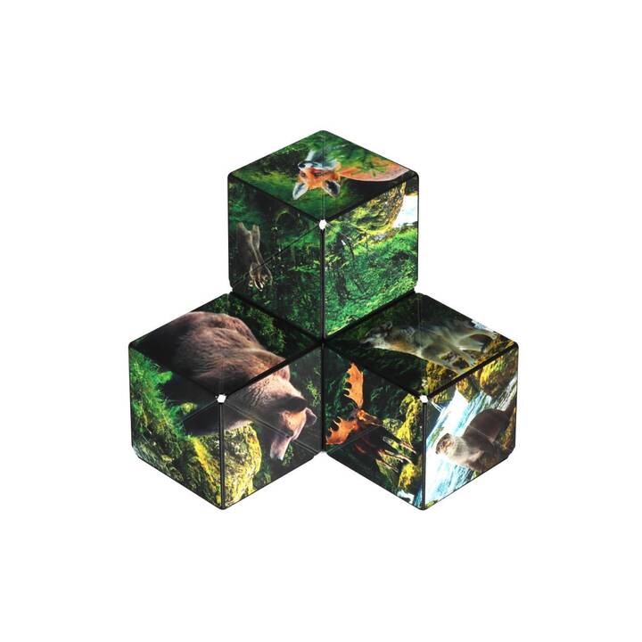 SHASHIBO Jeu calé Cube Forest