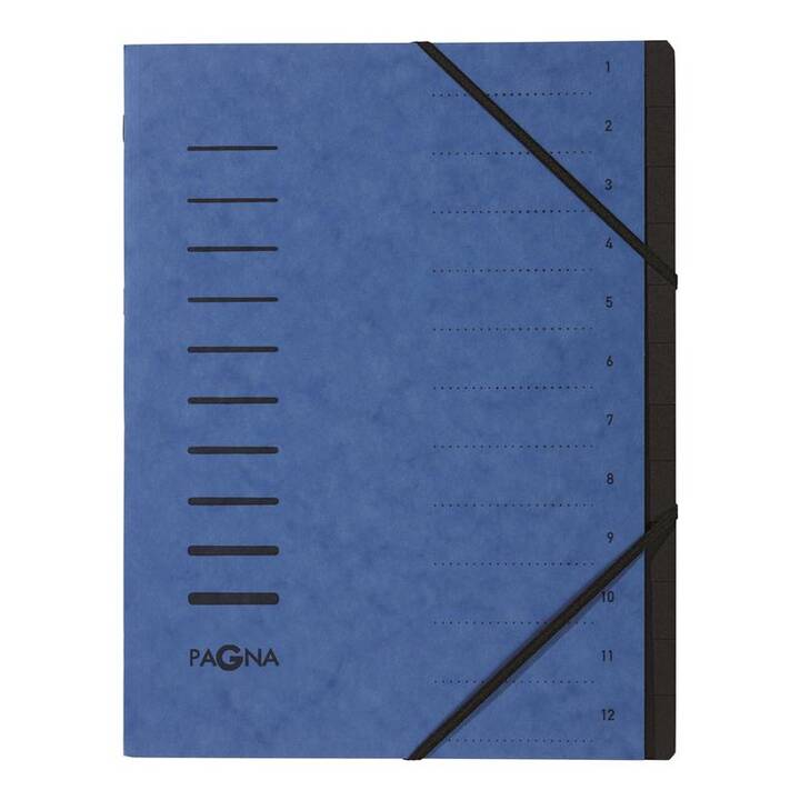 PAGNA Archivio a soffietto (Blu, A4, 1 pezzo)