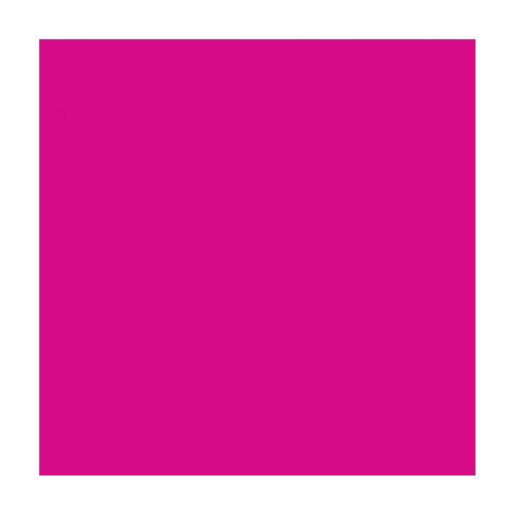 CRICUT Film de vinyle Smart Permanent (33 cm x 9.1 cm, Pink, Rose)