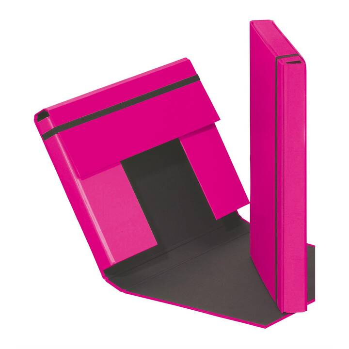 PAGNA Cartellina con elastico (Pink, A4, 1 pezzo)