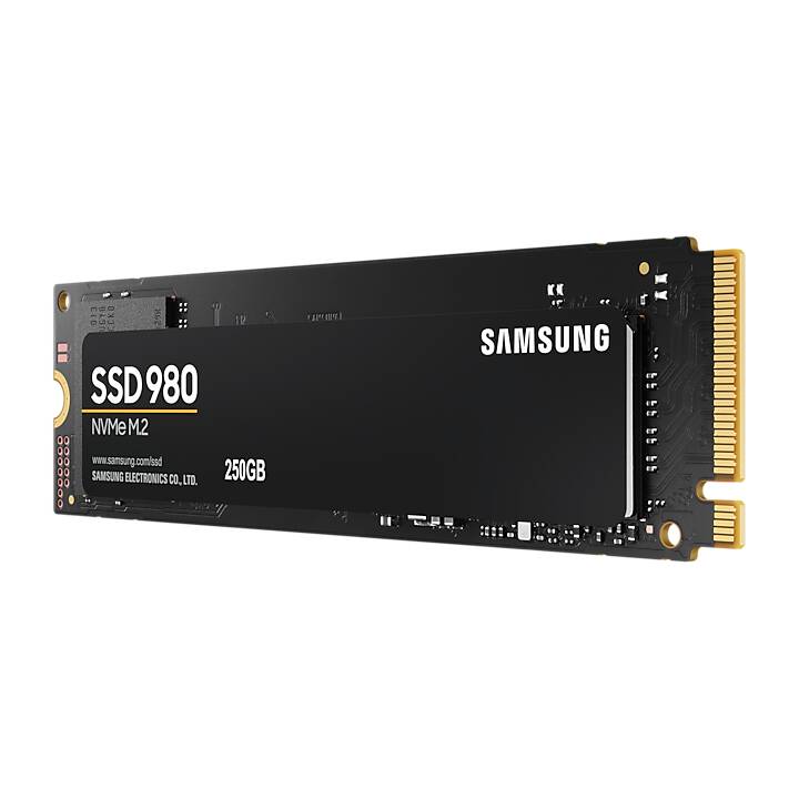 SAMSUNG 980 (PCI Express, 250 GB, Noir)