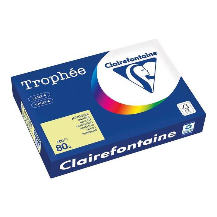 CLAIREFONTAINE Trophée Papier couleur (250 feuille, A4, 160 g/m2)