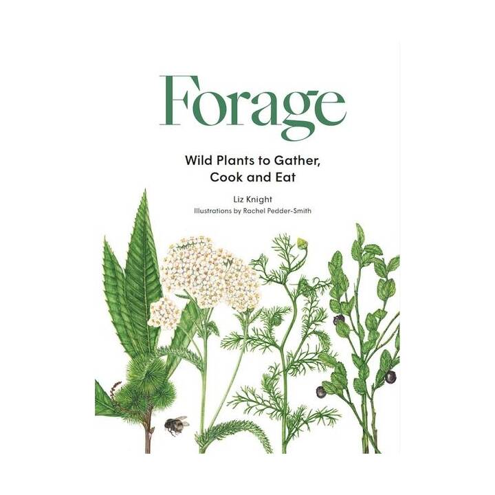 Forage