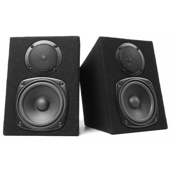 FENTON DMS40 (100 W, Enceinte verticale, Noir)