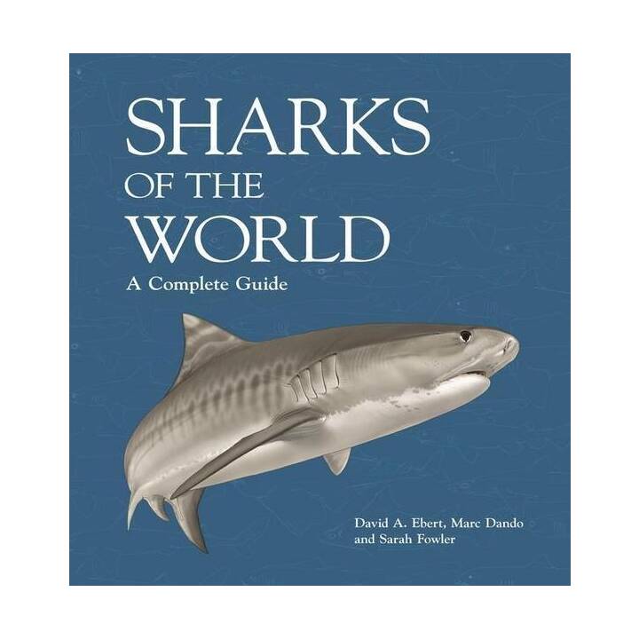 Sharks of the World