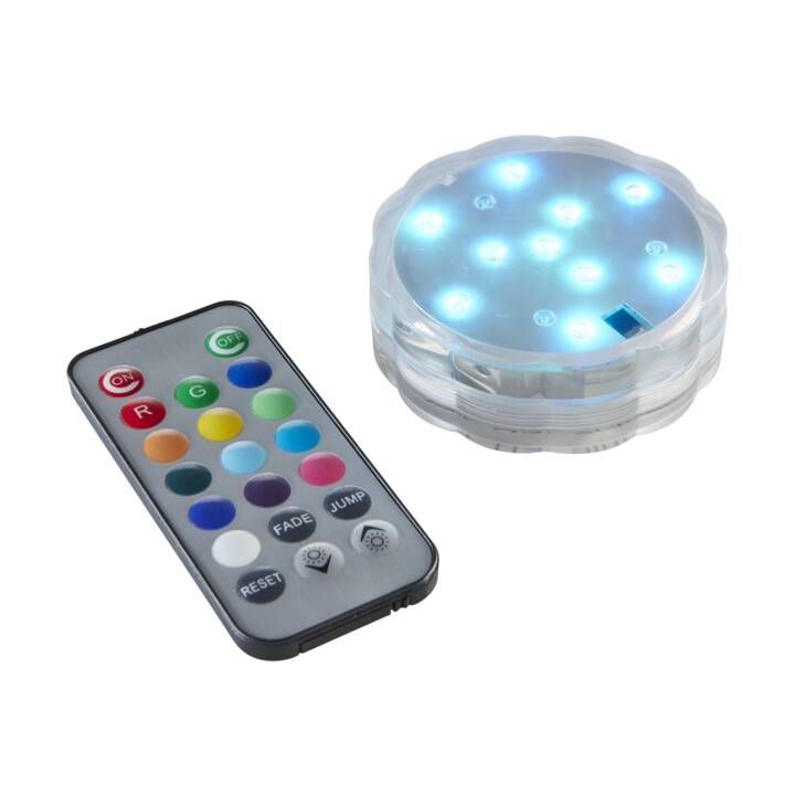 STAR TRADING Water Bougies LED (Transparent)