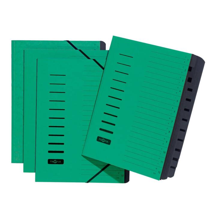 PAGNA Cartellina organizzativa (Verde, Nero, A4, 1 pezzo)