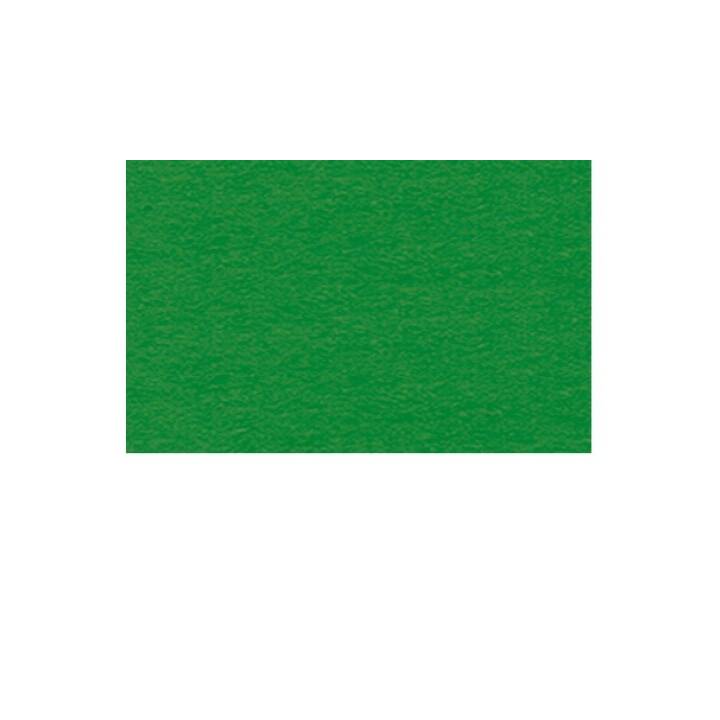 URSUS Carton (Vert clair, A4, 100 pièce)