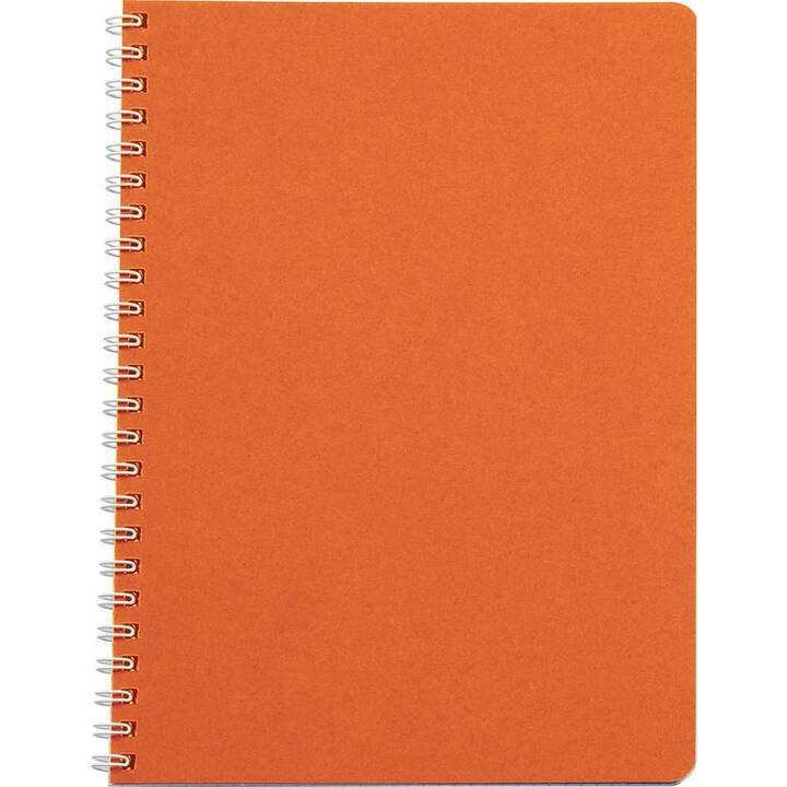 BIELLA Carnets TopColor (A4, Carreaux)