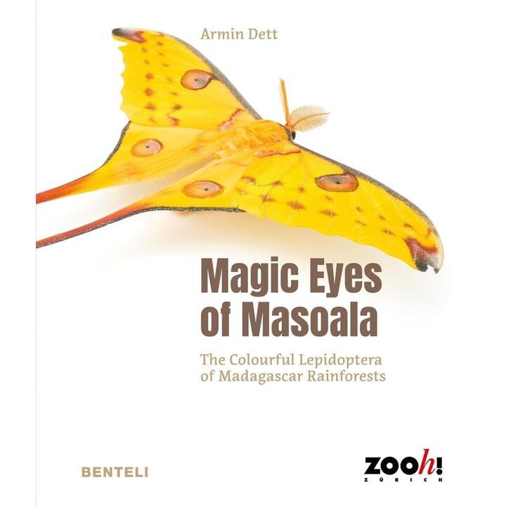Magic Eyes of Masoala