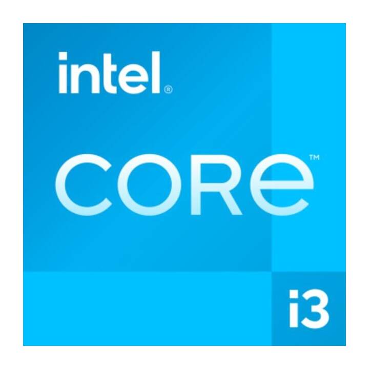 JOULE PERFORMANCE L1128434 (Intel Core i3 14100F, 16 GB, 1000 GB SSD, NVIDIA GeForce RTX 4060)