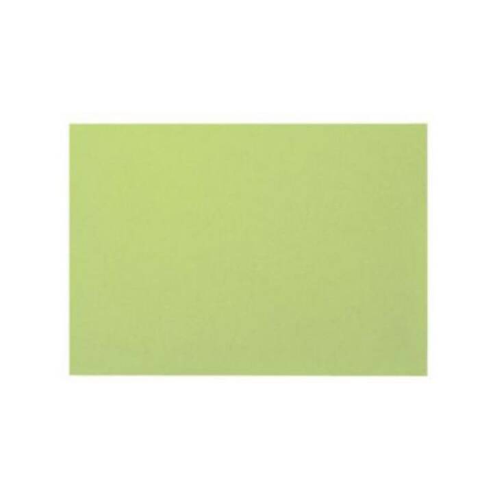 BIELLA Cartes-fiches (A6, Vert, En blanc, 100 pièce)