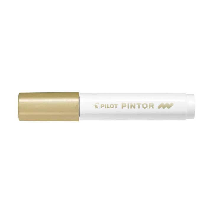 PILOT PEN Pennarello indelebile Pintor M (Oro, 1 pezzo)