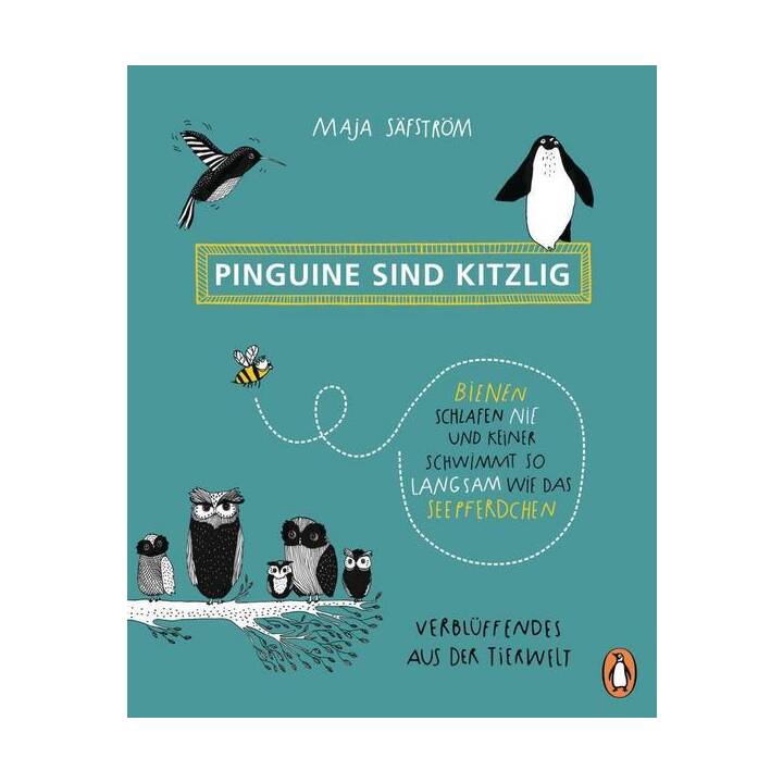 Pinguine sind kitzlig, Bienen schlafen nie, und keiner schwimmt so langsam wie das Seepferdchen