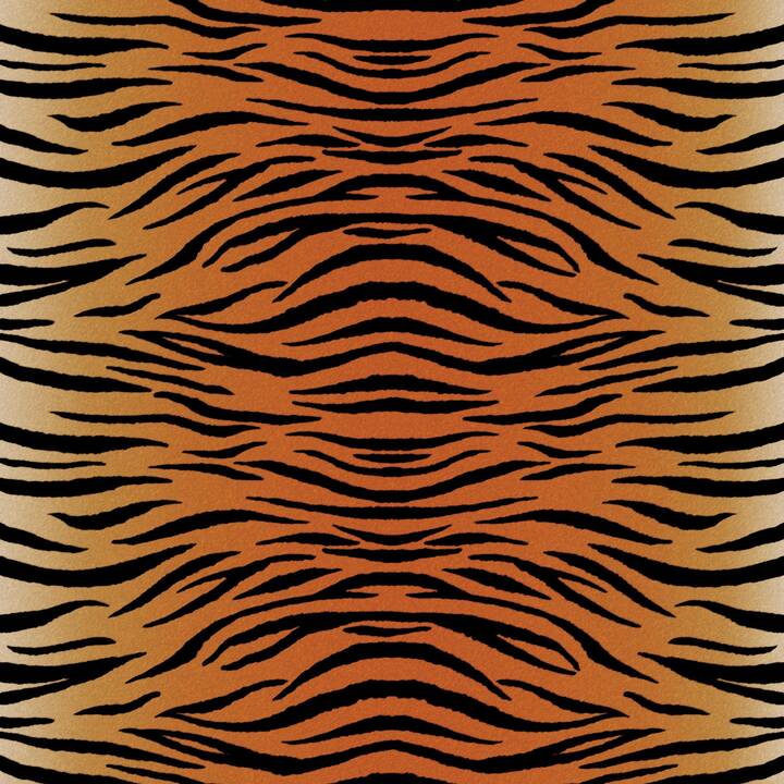 CRICUT Film de bricolage Leopard (30.5 cm x 30.5 cm, Orange)