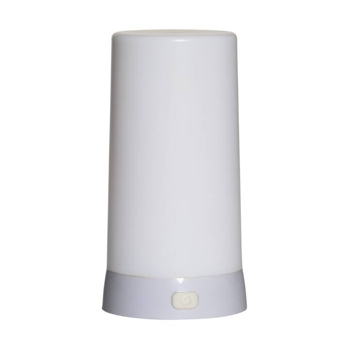 STAR TRADING Candle Diner Bougies LED (Blanc)