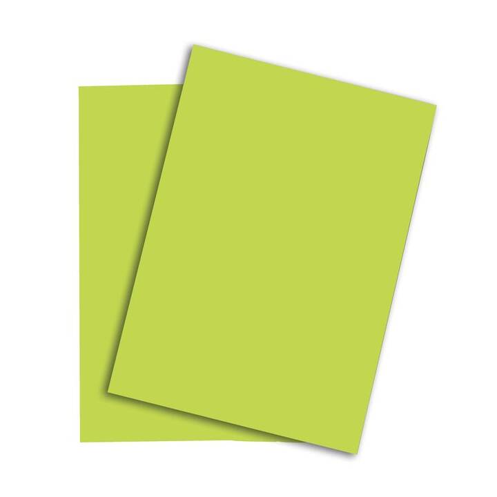 PAPYRUS Rainbow Papier couleur (100 feuille, A4, 80 g/m2)