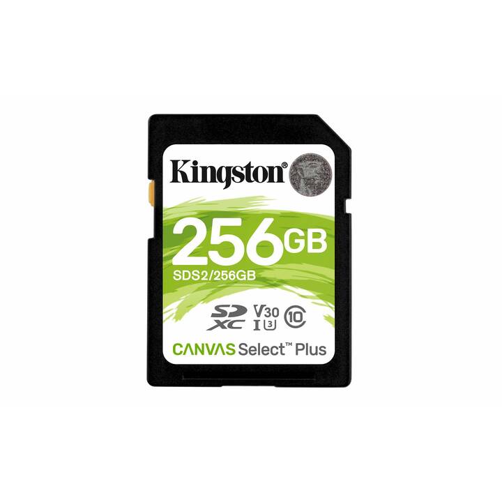 KINGSTON TECHNOLOGY SDXC Canvas Select Plus (UHS-I Class 1, 256 GB, 100 MB/s)