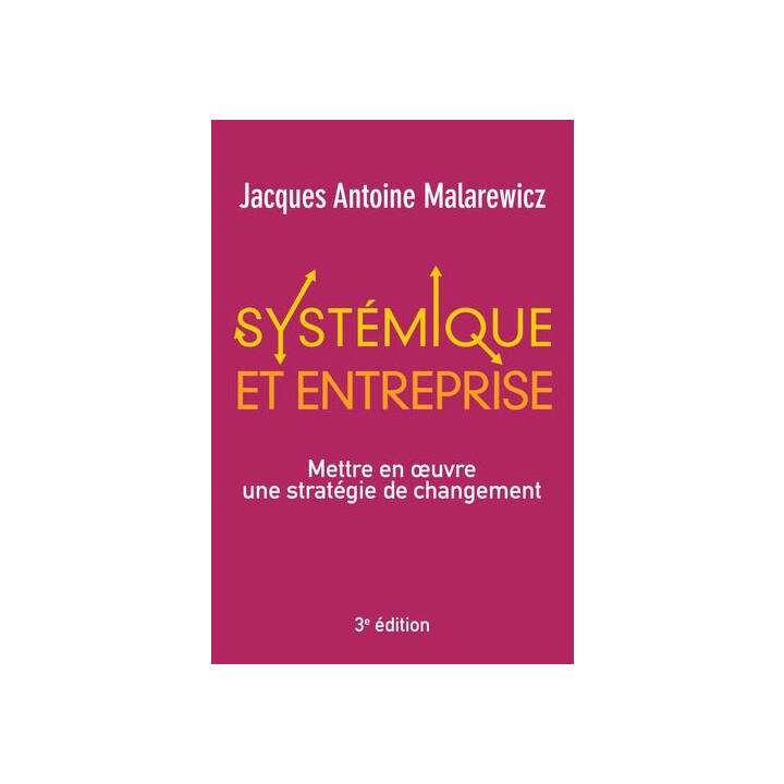 Systémique et entreprise