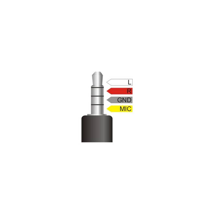 DELOCK Câble de raccordement (Jack 3.5 mm, 0.25 m)