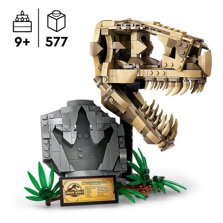 LEGO Jurassic World Dinosaurier-Fossilien: T. Rex-Kopf (76964)