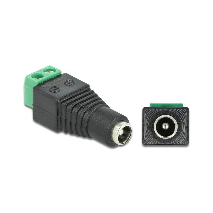 DELOCK Adapter (DC, Terminalblock)