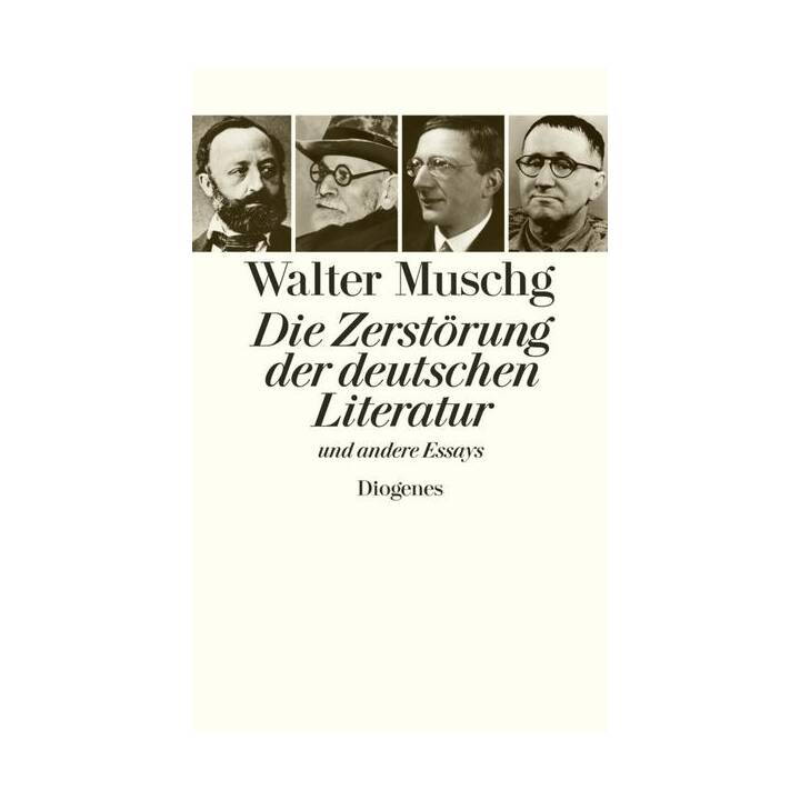 Die Zerstörung der deutschen Literatur