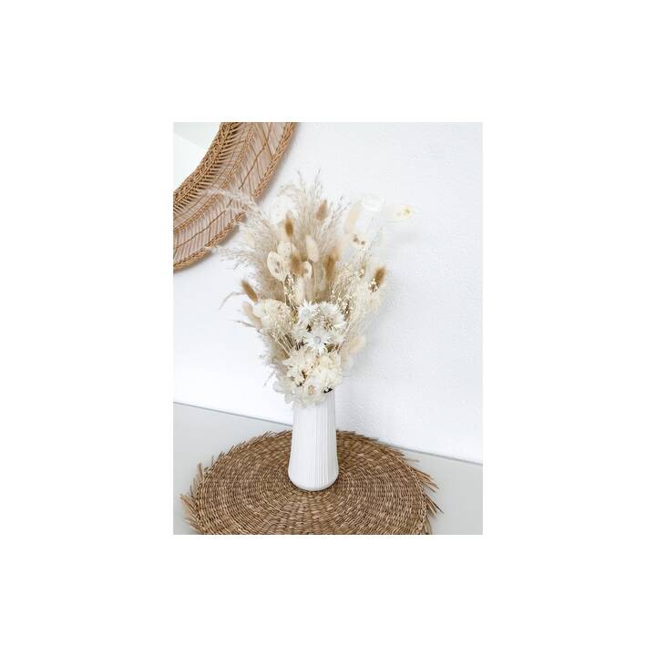 SOLI COLLECTION Nadine Bouquet Fleurs séchées (Blanc)