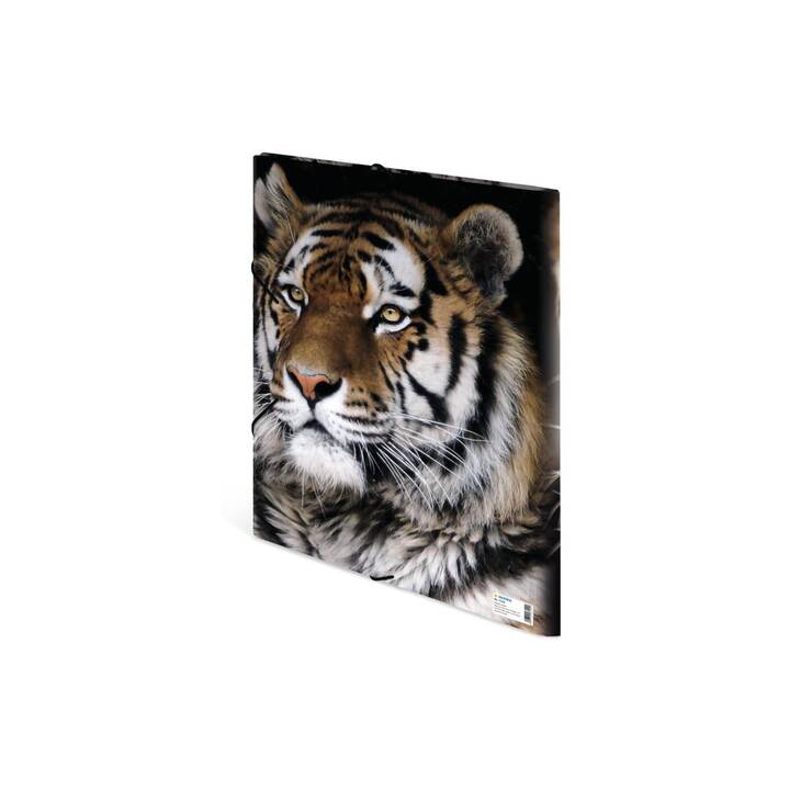 HERMA Cartellina con elastico Leopard (Marrone scuro, Multicolore, A3, 1 pezzo)