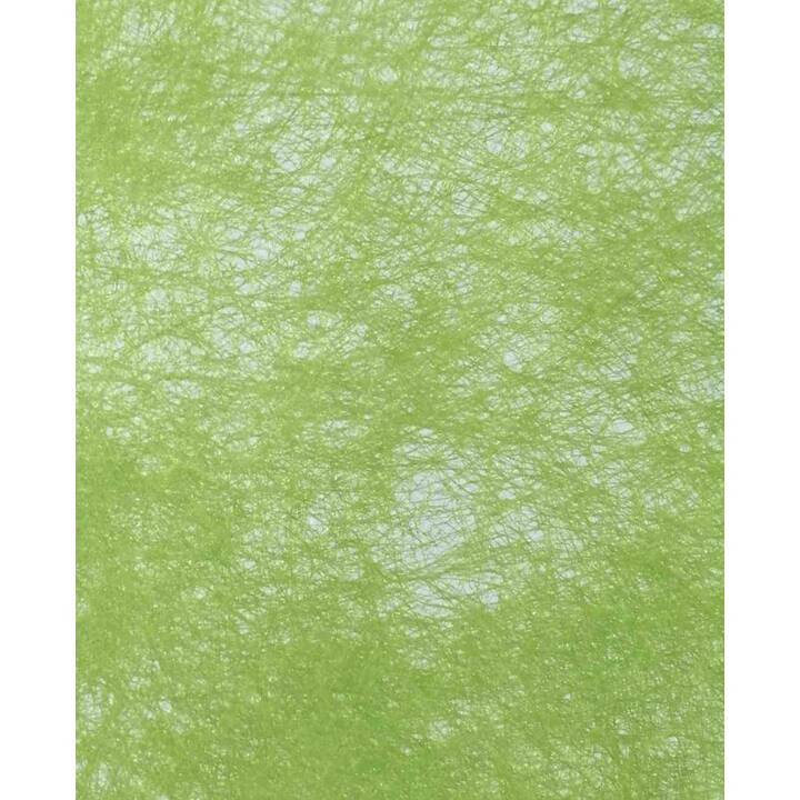 DAMECO Papier cadeau (Vert)