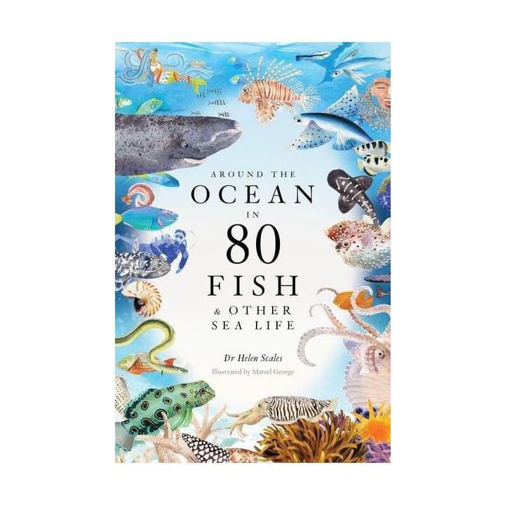 Around the Ocean in 80 Fish and other Sea Life