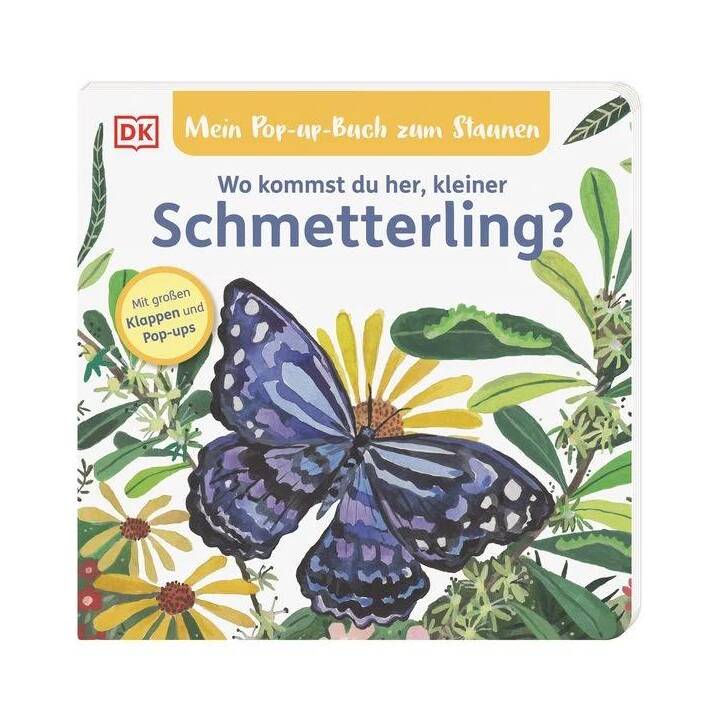 Mein Pop-up-Buch zum Staunen. Wo kommst du her, kleiner Schmetterling?. Naturbilderbuch mit Klappen und Pop-ups für Kinder ab 2 Jahren