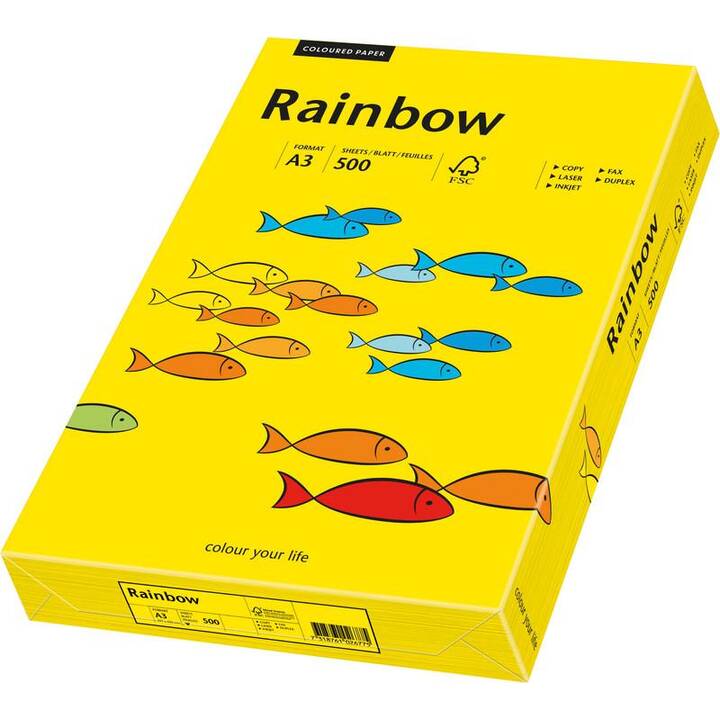 PAPYRUS Rainbow Papier couleur (500 feuille, A3, 80 g/m2)