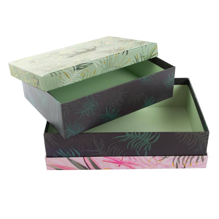 GOLDBUCH Boîtes cadeau Jungle Vibes (2 Stk, Noir, Vert, Pink, Jaguar)