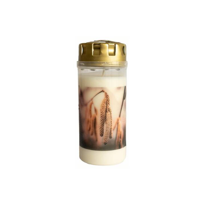 HERZOG KERZEN Tomba candela (Dolore, Bianco, Marrone dorato)