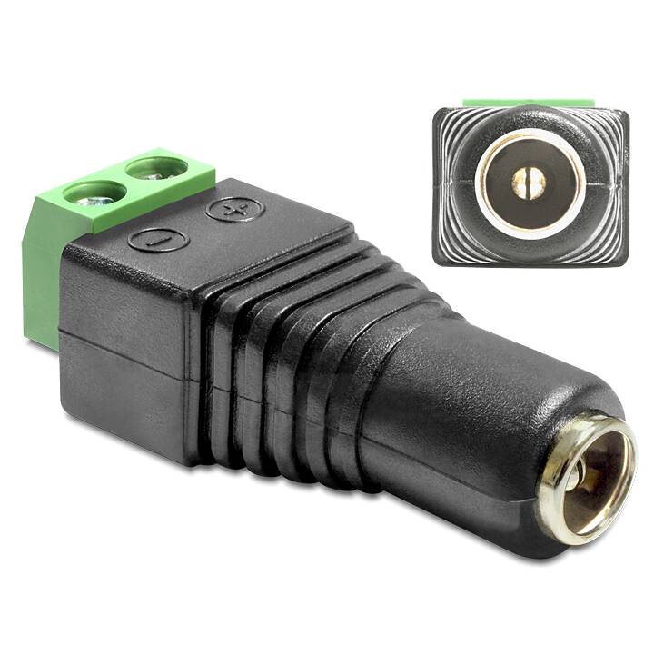 DELOCK Adapter (DC, Terminalblock)