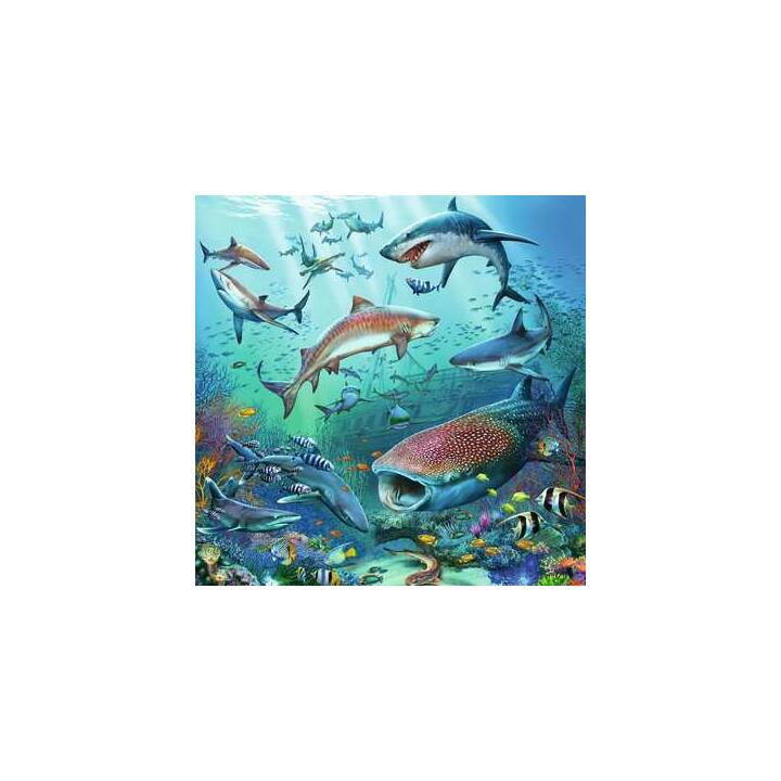 RAVENSBURGER Unterwasserwelt Puzzle (3 x 49 x)