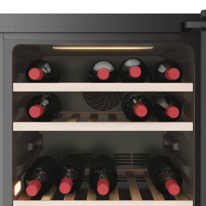 HAIER Armadio di controllo del clima del vino HWS77GDAU1