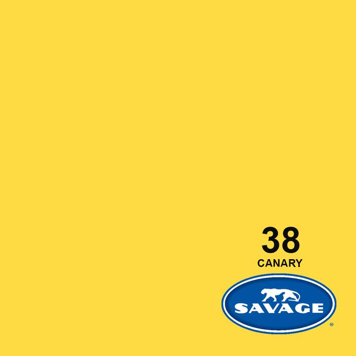 SAVAGE Arrière-plan photo (Canary Yellow, 2.72 x 11 m)